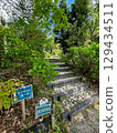 Redhill Heather Forest Hydrangea Corner Rhododendron Path 129434511