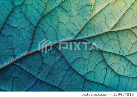 A close-up view of overlapping leaves, showcasing a gradient from dark blue and green to bright green. The texture and veins are highly detailed. 129434819