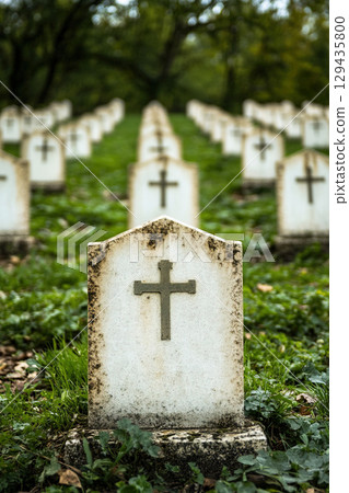 Military cemetery honoring soldiers and their sacrifices in a peaceful setting 129435800
