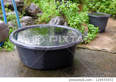 Bucket with rain water from the roof . Bucket with rain water from the roof . 129435972