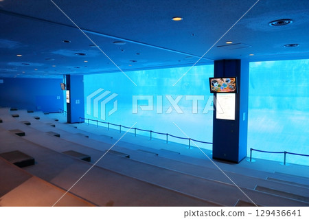 Underwater viewing seats (Port of Nagoya Public Aquarium, Nagoya City, Aichi Prefecture) 129436641