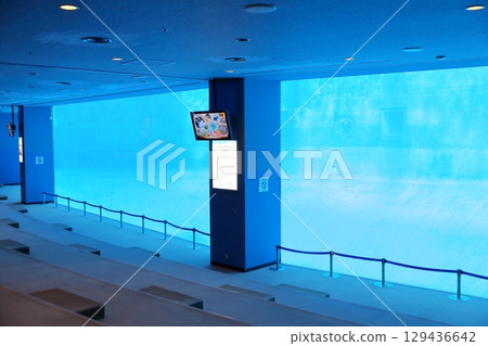 Underwater viewing seats (Port of Nagoya Public Aquarium, Nagoya City, Aichi Prefecture) Underwater viewing seats (Port of Nagoya Public Aquarium, Nagoya City, Aichi Prefecture) 129436642