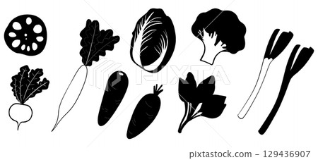 冬季蔬菜剪影集 | 蘿蔔，大白菜，蔥，蕪菁， 129436907