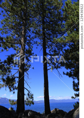 Lake Tahoe California Tree's and Rocks on the shore Lake Tahoe California Tree's and Rocks on the shore 129436922