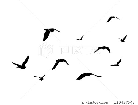 Flying birds silhouettes on white background. Vector illustration. isolated bird flying. tattoo design. Flying birds silhouettes on white background. Vector illustration. isolated bird flying. tattoo design. 129437543