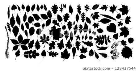 foliage monochrome silhouettes. hand drawn. Not AI, Vector illustration foliage monochrome silhouettes. hand drawn. Not AI, Vector illustration 129437544