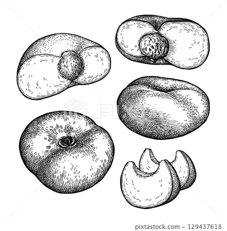 Donut peach ink sketch set 129437618
