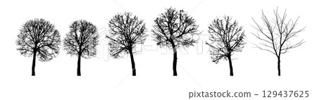 Set of bare trees. hand drawn. Not AI, Vector illustration 129437625