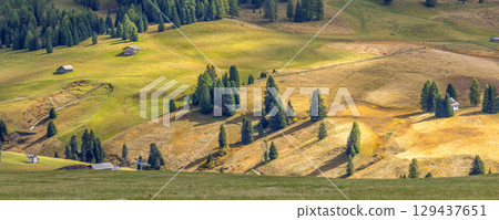Alpe di Siusi Seiser Alm panoramic banner 129437651