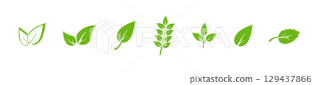 Green leaf icons set. Elements design for natural, eco, vegan. Leaves icon on isolated background. Collection green leaf. Vector 129437866