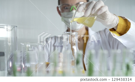 Woman scientist wearing a lab coat, white gloves, and a mask is pouring a yellow oily liquid from a beaker into an Erlenmeyer flask in a laboratory setting, close up. Science and medicine 129438314