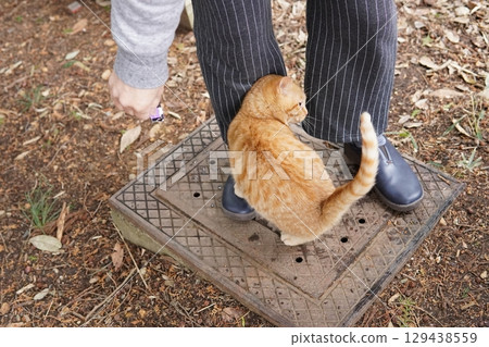 一隻盯著小貓 129438559