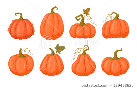 Halloween and thanksgiving pumpkins. Halloween orange pumpkins, squash with leaves flat vector illustration set. Cartoon autumn fall harvest gourds collection 129438623