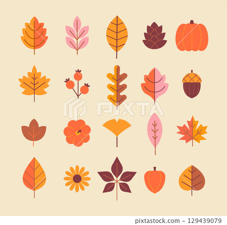 Elegant set of autumn isolated leaves and other symbol of season - pumpkin,apple, rowan berries, acorn, sunflower for your design. Template for harvest festival or Thanksgiving day. Vector 129439079