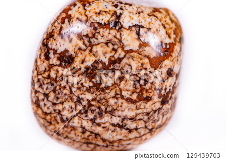 Macro mineral rock jasper landscape sandy on white background 129439703