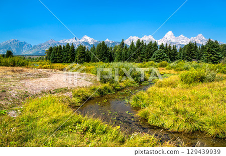 Scenic view of Blacktail Ponds in Grand Teton National Park, Wyoming, with marshland, evergreens, and the snow-capped Teton Range under a vivid blue summer sky 129439939
