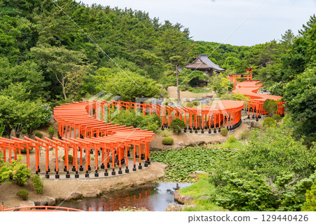 The thousand torii gates of Takayama Inari Shrine in Tsugaru City, Aomori Prefecture 129440426