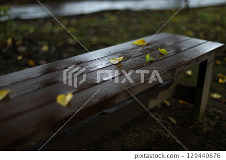 Yellow leaves scattered on the wet road 129440676