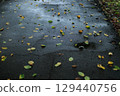落葉散落在被雨水浸濕的公園小路上 129440756