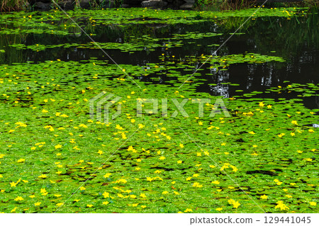 閃亮漂浮的心 129441045