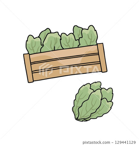 crate with green salad on white background crate with green salad on white background 129441129