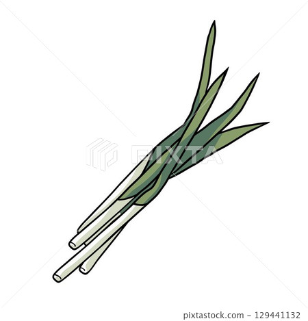 a bunch of leek isolated on white background a bunch of leek isolated on white background 129441132