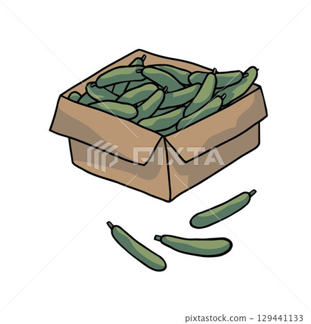 crate full of zucchini  green colour on white background 129441133