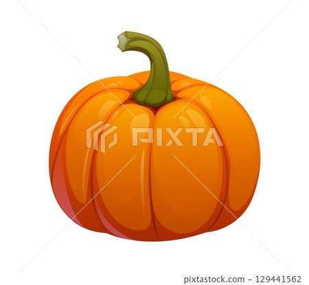 Cartoon raw ripe pumpkin vegetable, vector orange round gourd plant with glossy surface and a green curved stem. fall and autumn crop, Halloween decor, Thanksgiving harvest festival, healthy food 129441562
