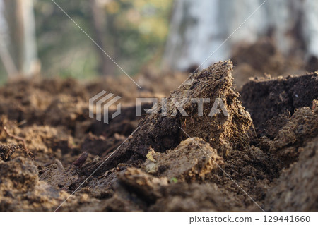 Soil texture reveals details of forest floor ecology 129441660