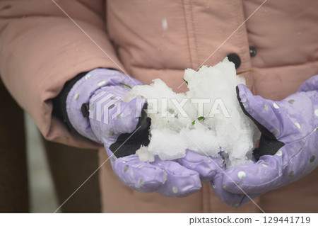 Holding snow in colorful gloves during winter season Holding snow in colorful gloves during winter season 129441719