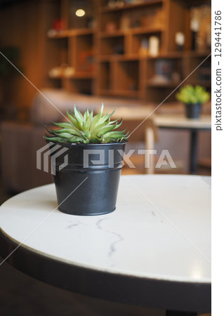 Indoor plant in a modern cafe setting with warm lighting 129441786