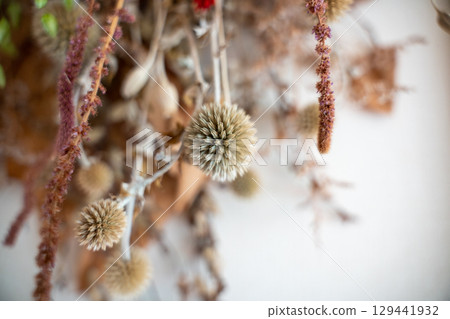 蓬鬆的干花 129441932