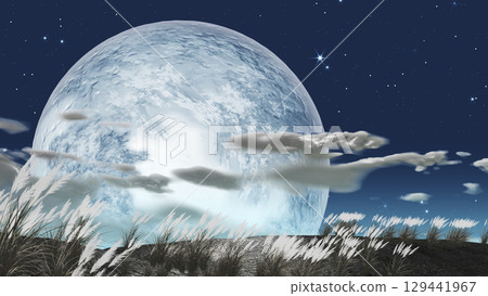 A full moon floating against a backdrop of Japanese pampas grass. Background material for adding text. A full moon floating against a backdrop of Japanese pampas grass. Background material for adding text. 129441967
