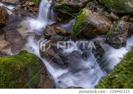 Yakushima National Park: A valley where the gods dwell and the magnificent flow of water (winter) 129442123