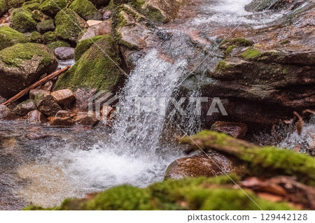 Yakushima National Park: A valley where the gods dwell and the magnificent flow of water (winter) 129442128