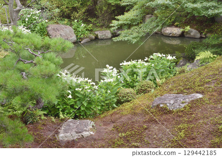 涼山院 涼山院 129442185