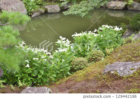 涼山院 涼山院 129442186