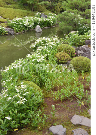Ryoshoin Garden Ryoshoin Garden 129442192
