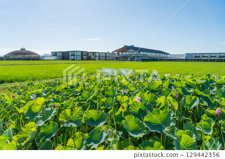 Suiden Terrace Suiden Terrace 129442356
