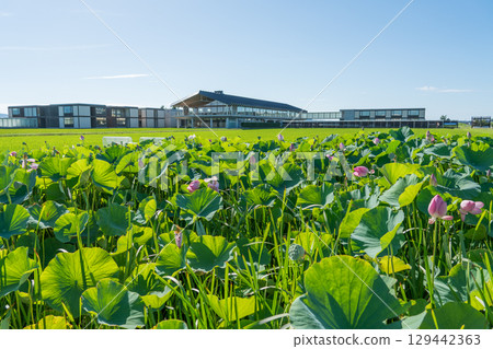 Suiden Terrace Suiden Terrace 129442363