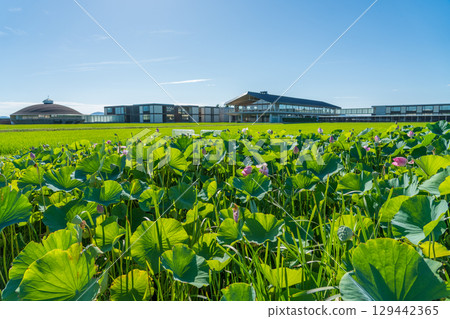 Suiden Terrace Suiden Terrace 129442365