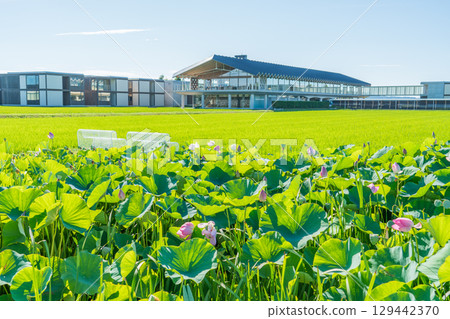 Suiden Terrace Suiden Terrace 129442370
