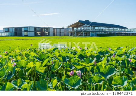 Suiden Terrace 129442371