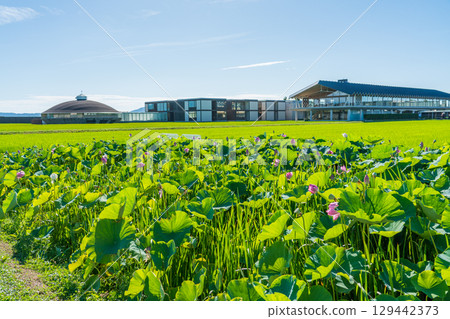 Suiden Terrace Suiden Terrace 129442373