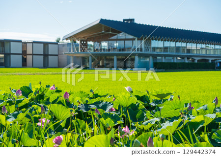 Suiden Terrace Suiden Terrace 129442374