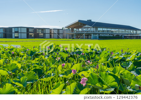 Suiden Terrace 129442376