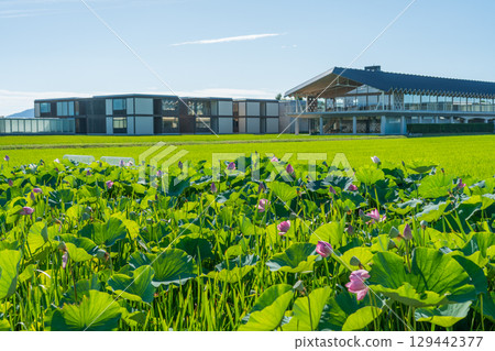 Suiden Terrace 129442377