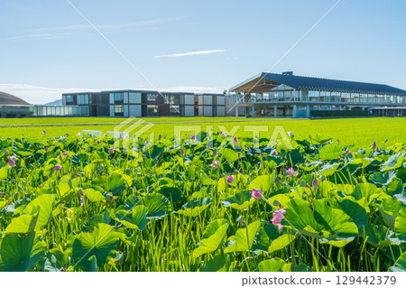 Suiden Terrace 129442379