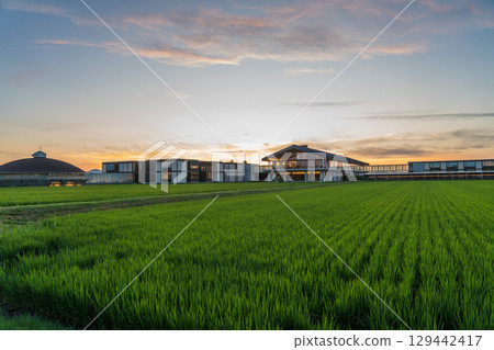 傍晚的 Suiden Terrace 129442417