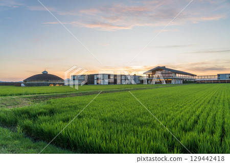 傍晚的 Suiden Terrace 129442418